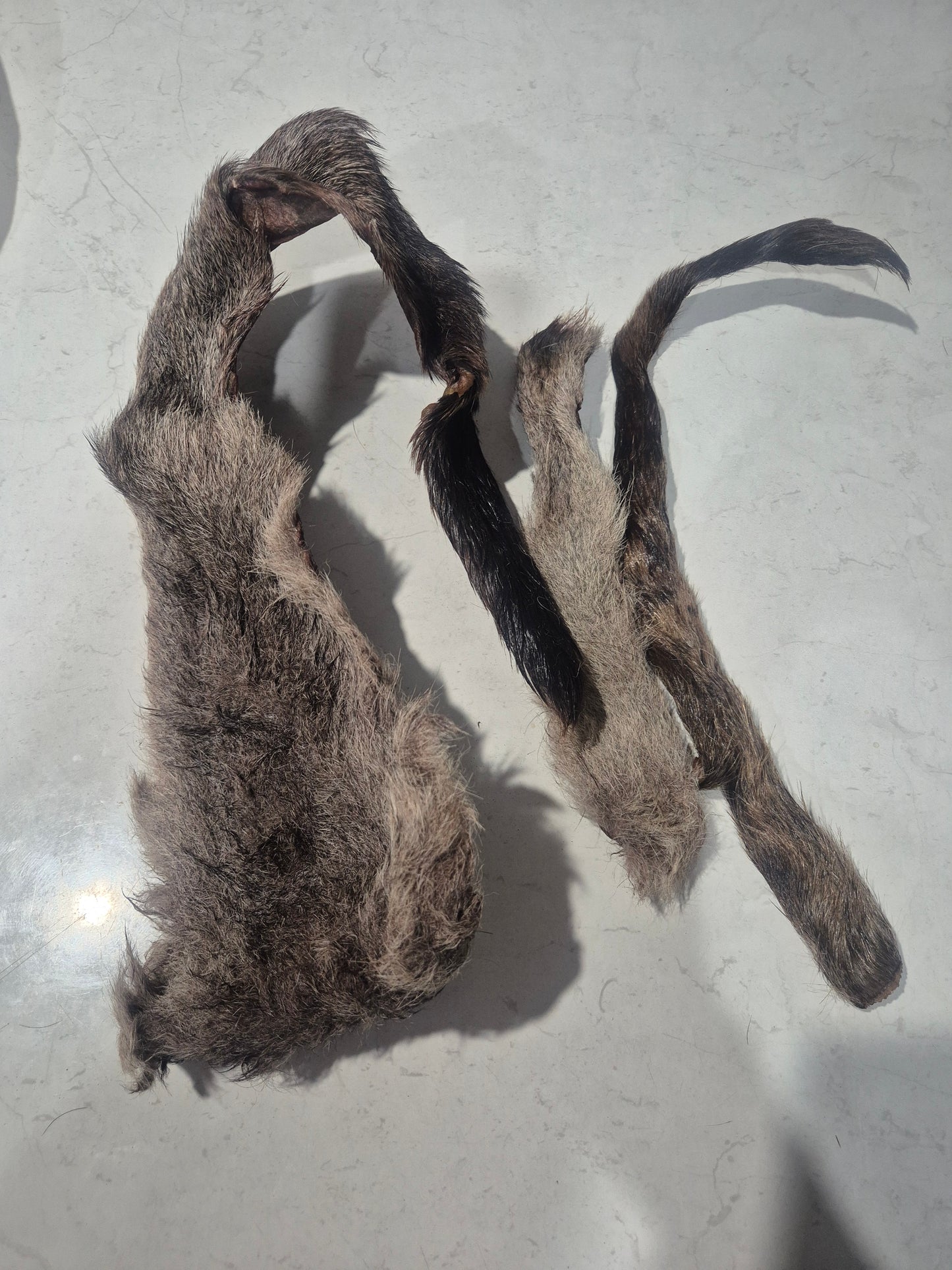 Dehydrated Kangaroo Tail Fur Each