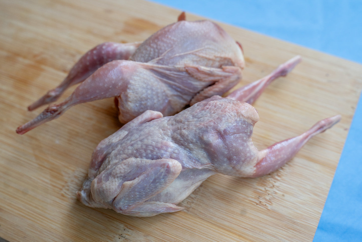 Quail Dressed & Gutted 10 Pack✅️