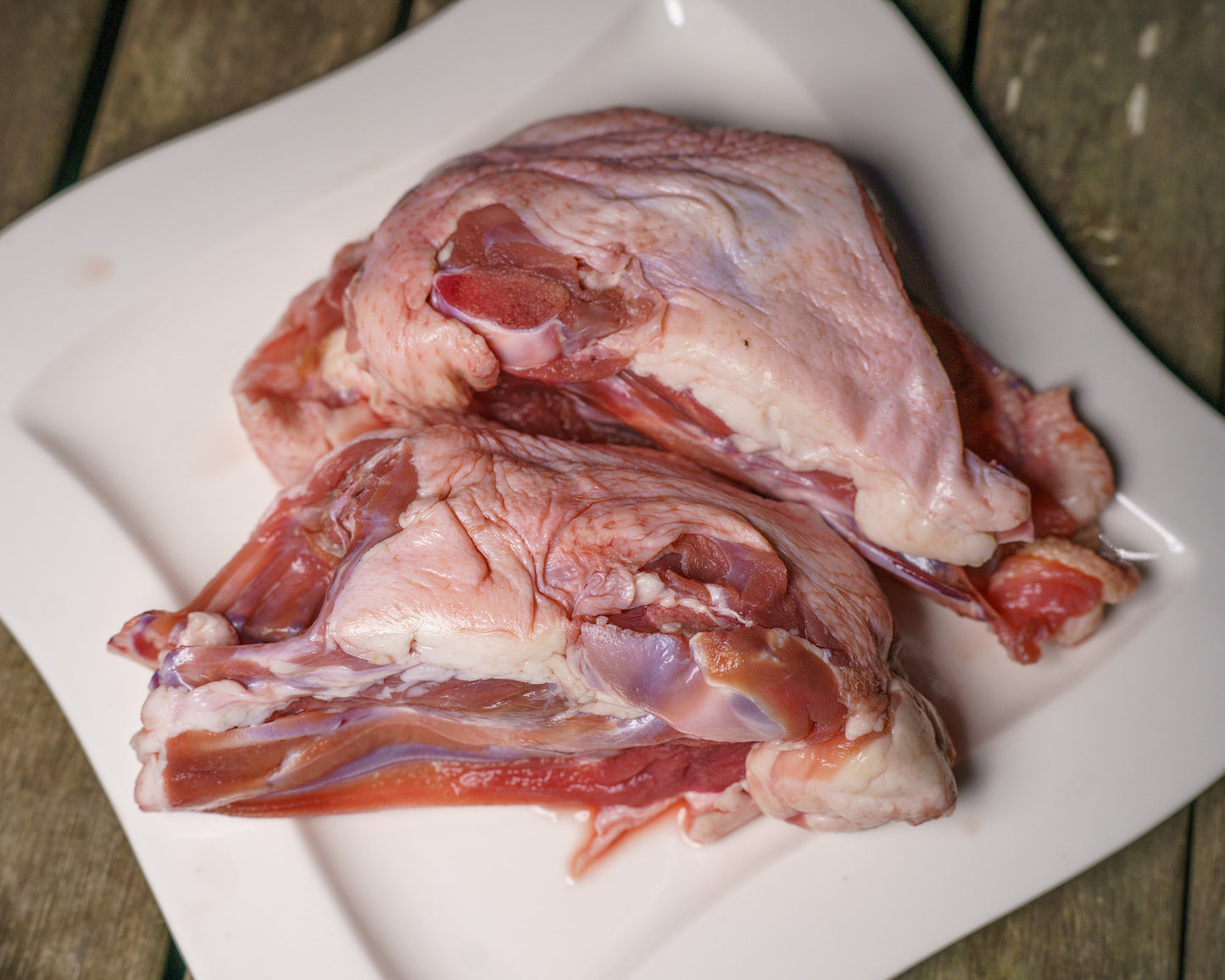 Duck Frame Small 2 Pack✅️