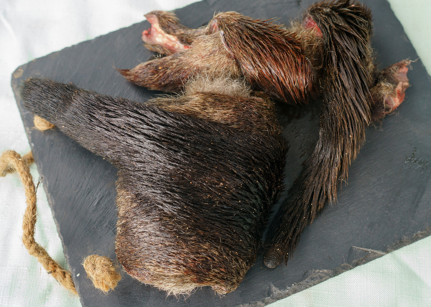 Kangaroo Tail Fur Each✅️