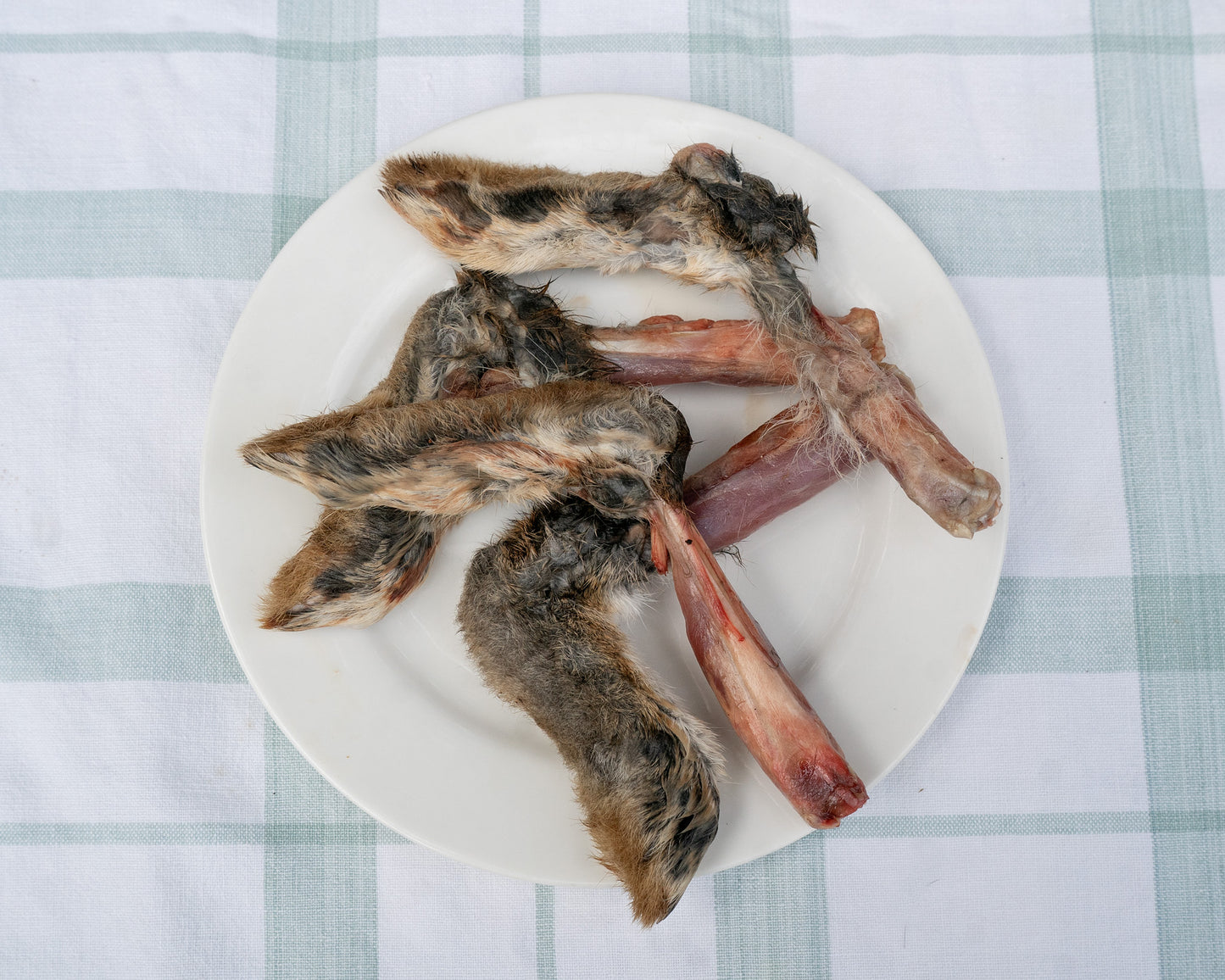 Rabbit Feet 10 Pack✅️