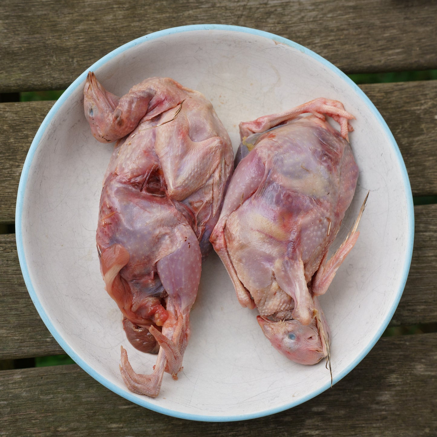 Quails Dressed - Not Gutted, Head & Legs On 2 Pack✅️