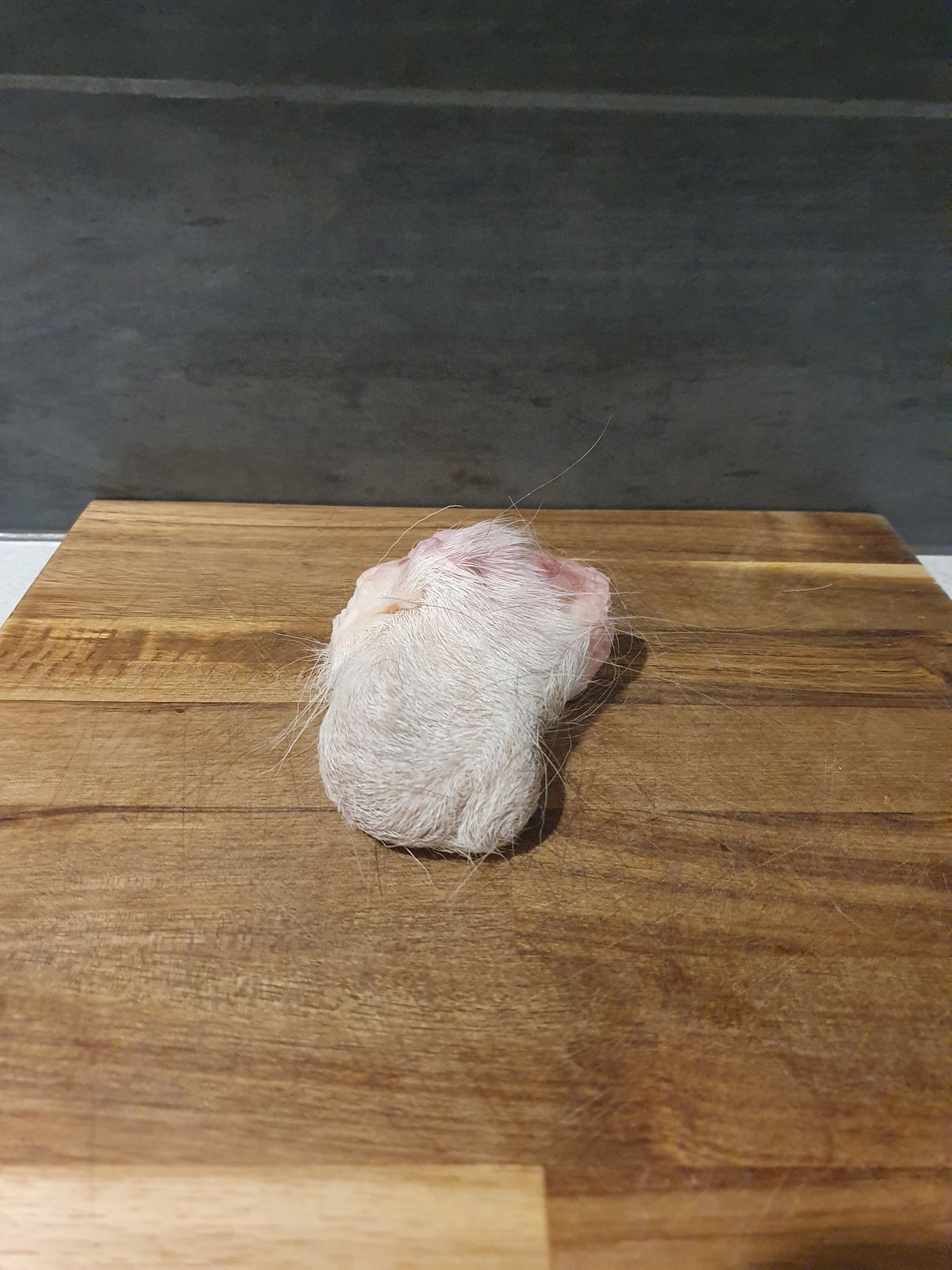 Deer Testicle With Fur Set