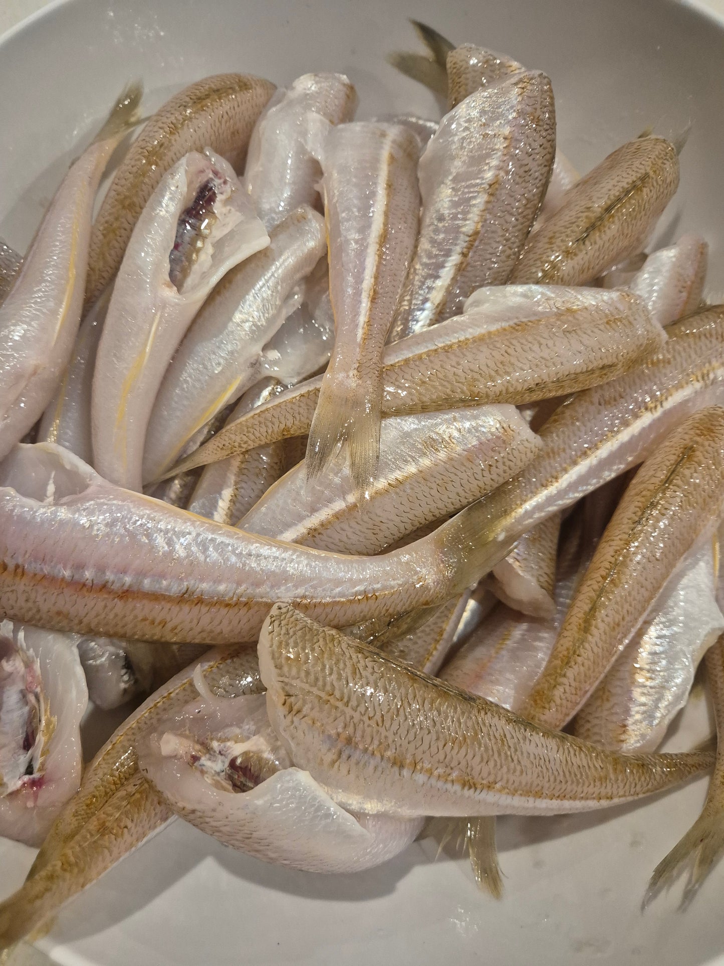 Whiting 1Kg