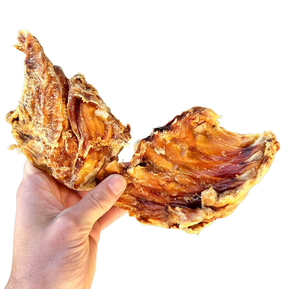 Dehydrated Crocodile Ribs 200g – Wild & Loyal