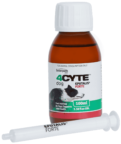 4Cyte Canine Epiitalis Forte Gel