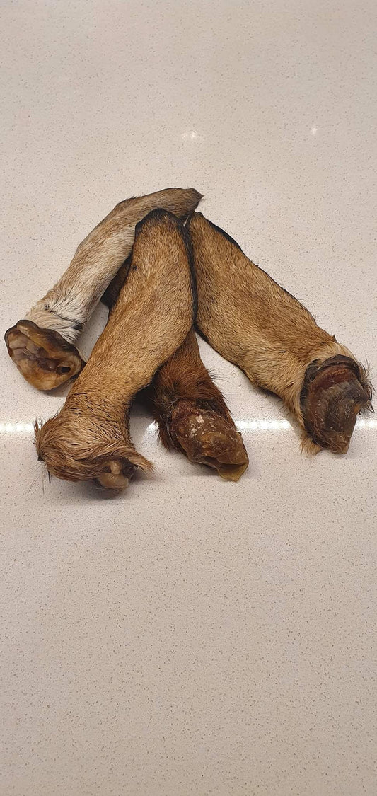 Air Dried Goat Ears Each