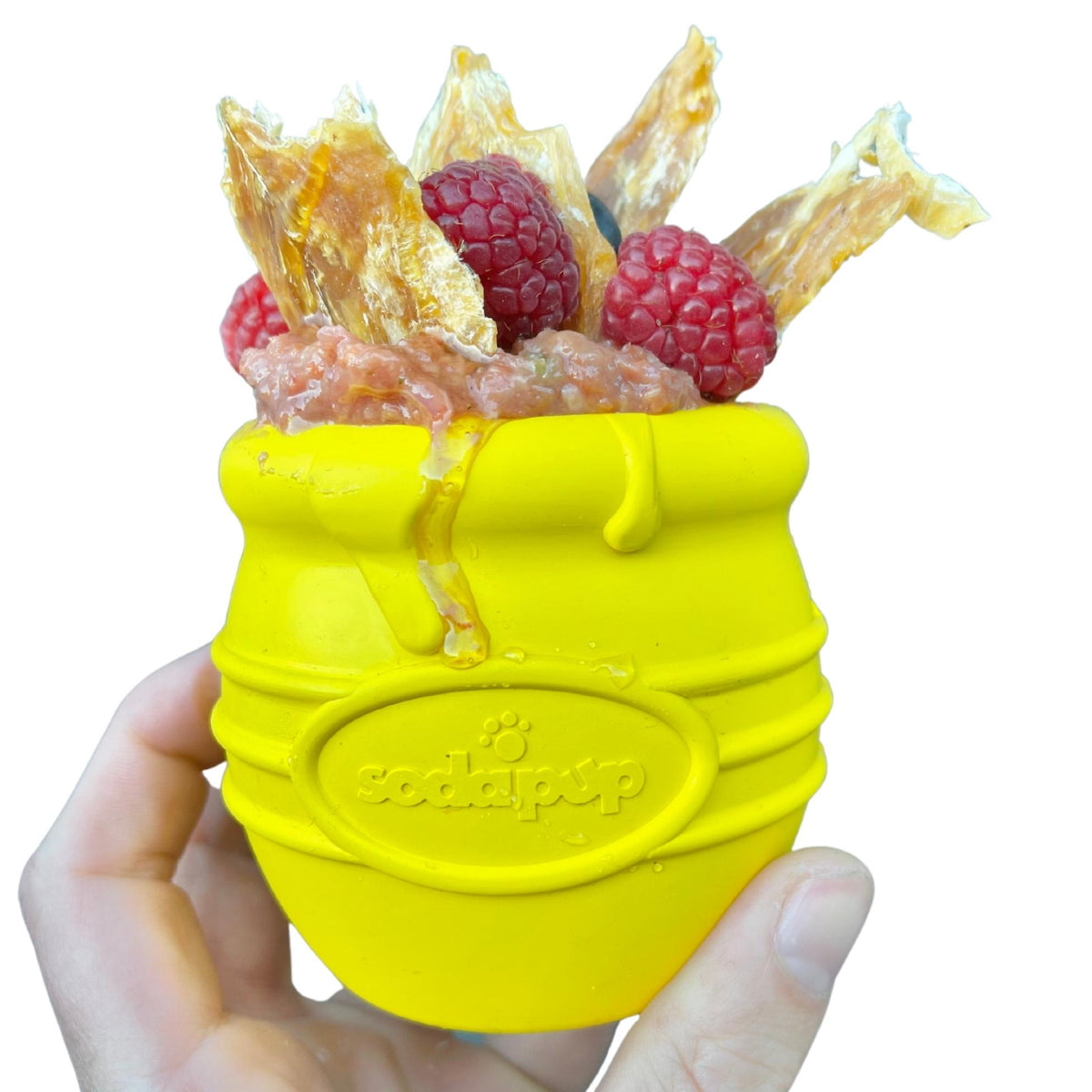 Honey Pot Enrichment Feeder