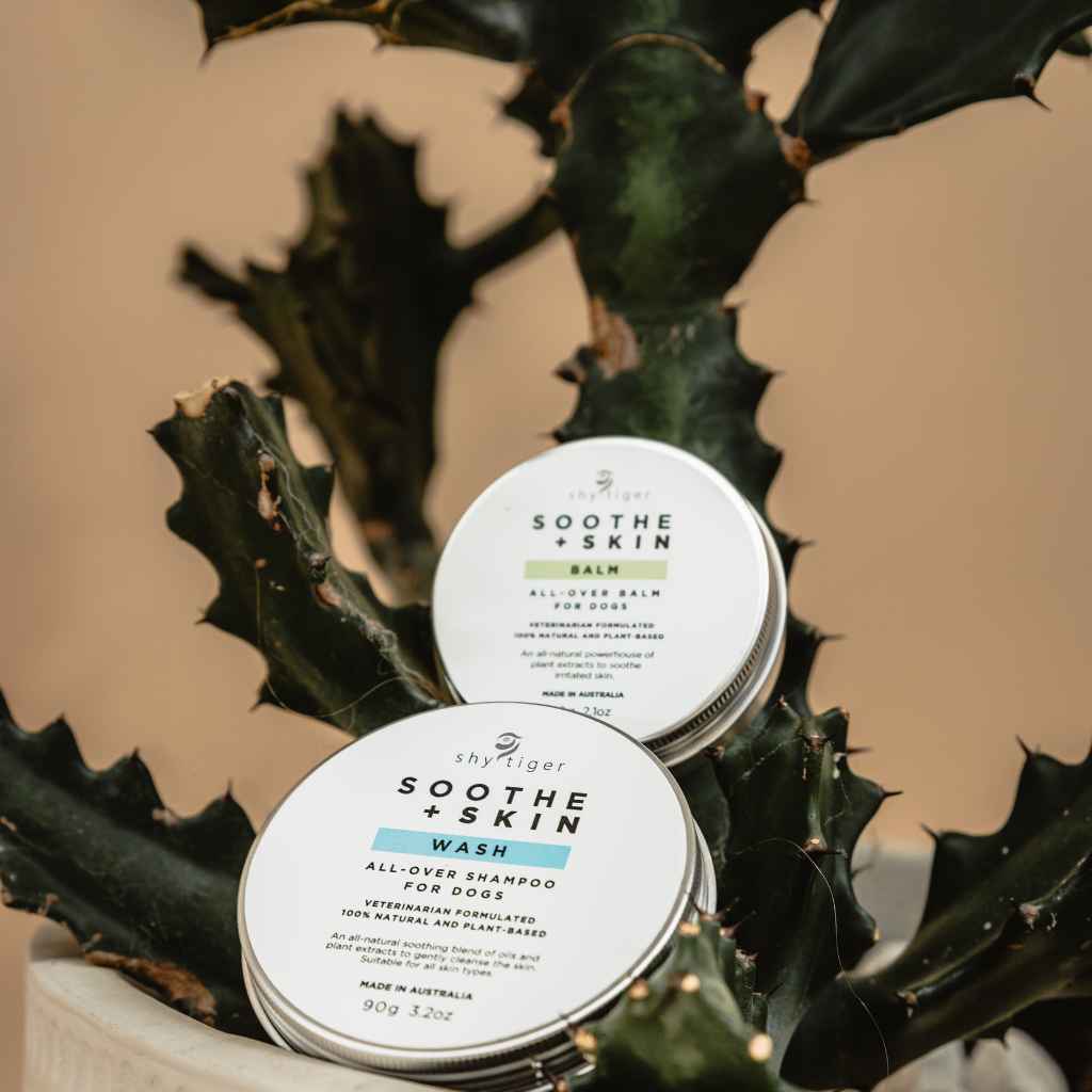 Shy Tiger Soothe + Calm Shampoo Balm