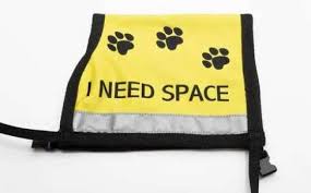 I Need Space Vest