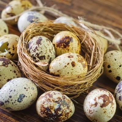 Quail eggs Each