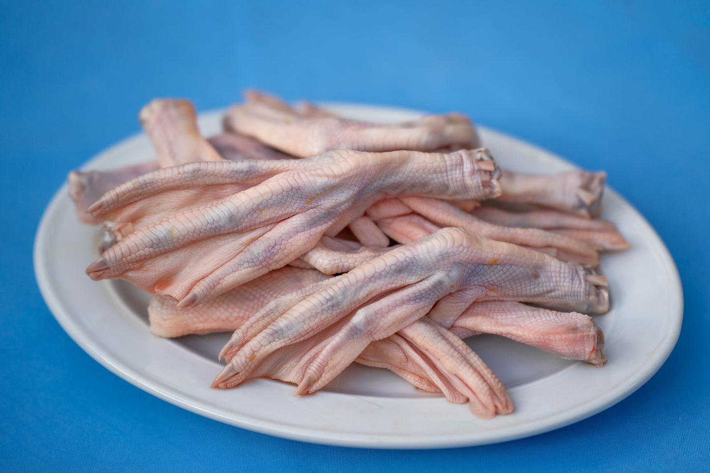 Duck Feet 1Kg✅️