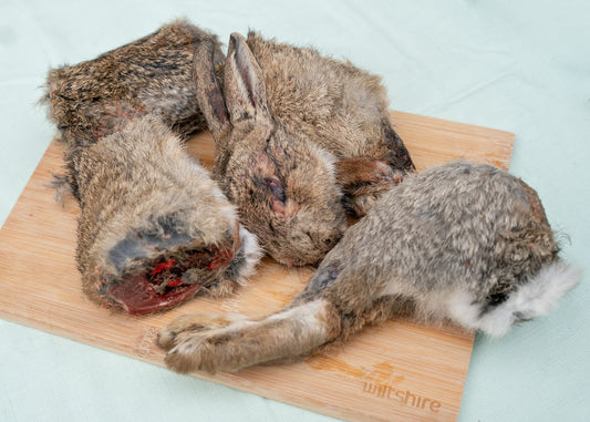 Rabbit Whole Fur On Gutted 4 Piece Pack✅️