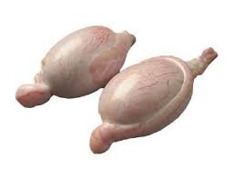 Goat Testicles 1Kg