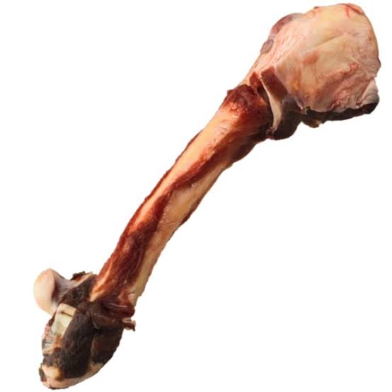 Kangaroo Leg Bones Pack of 2