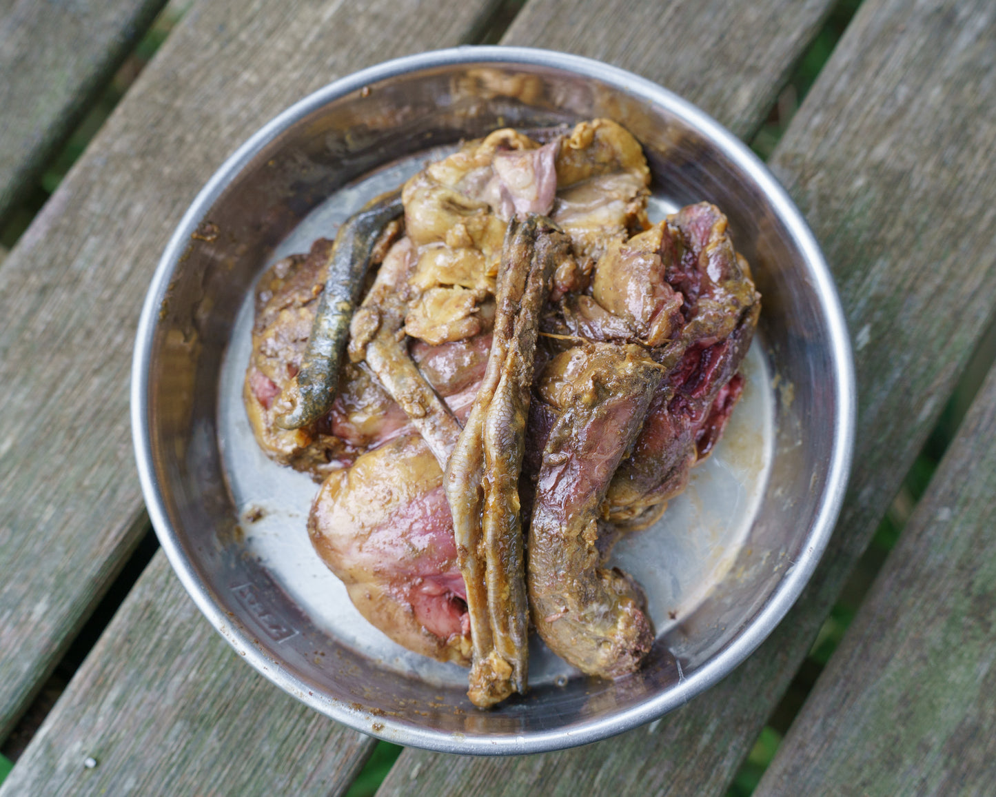 Mutton Bird Gross Bits✅️