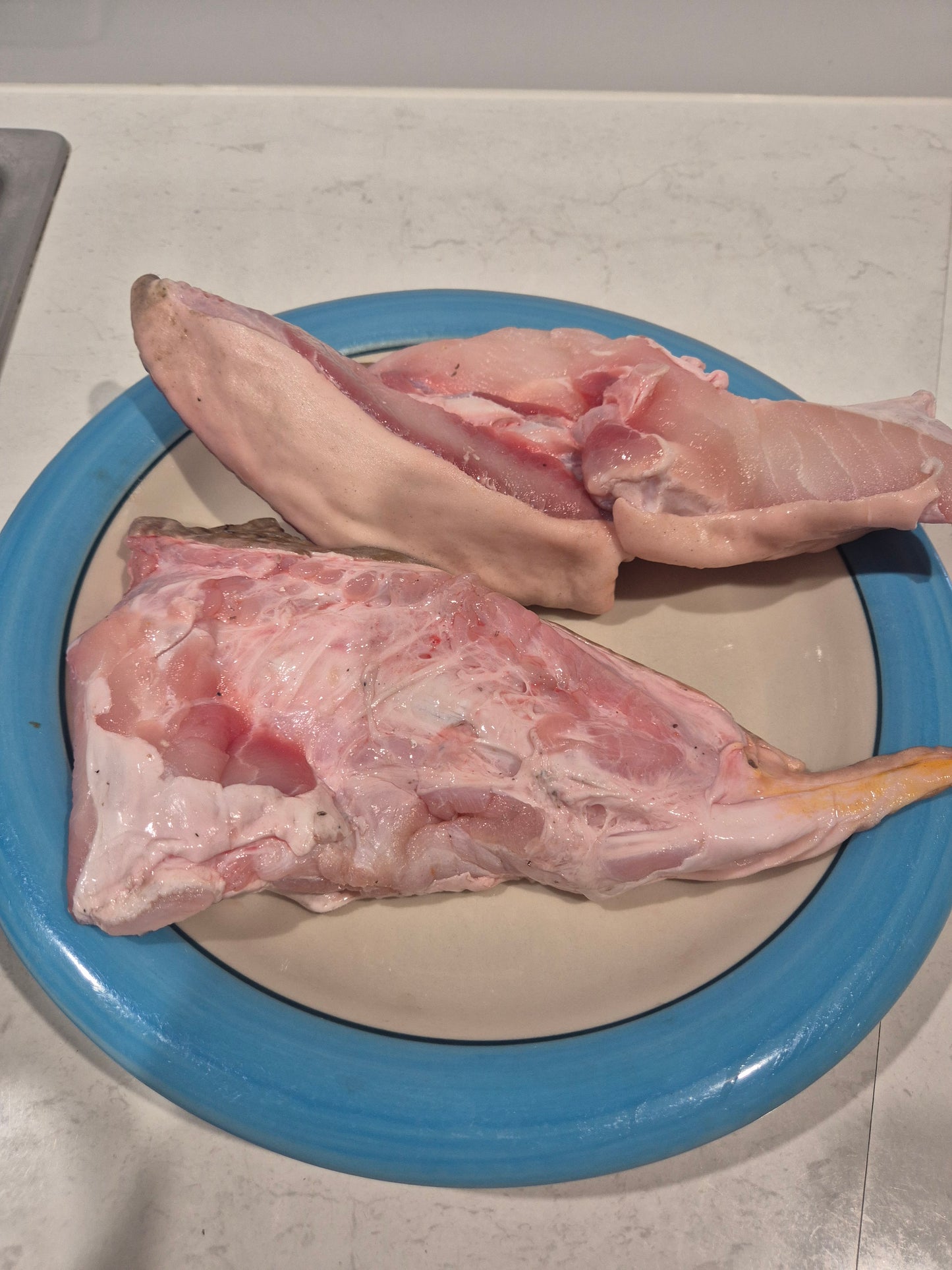 Shark Pieces 1Kg