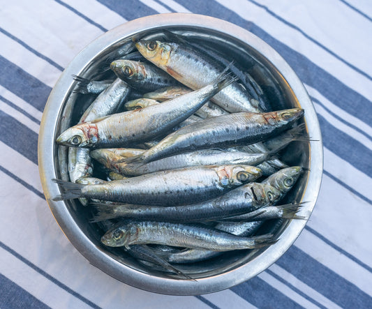 Sardines 1Kg✅️